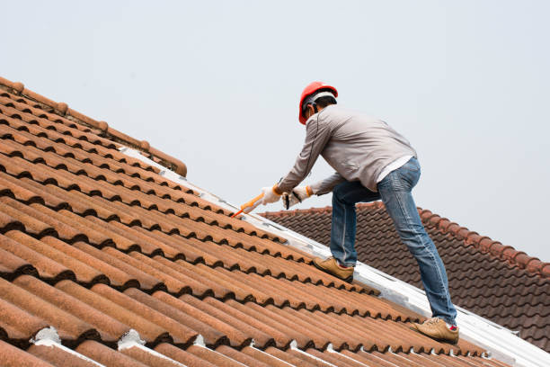 Best Asphalt Shingle Roofing  in Rolling Fork, MS